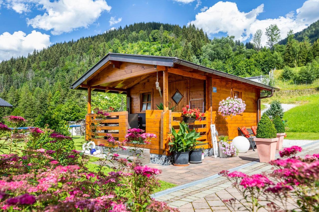 Appartement Eva Flachau