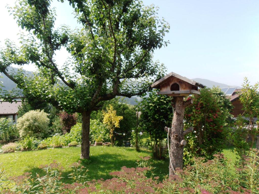 Eva Appartement Flachau